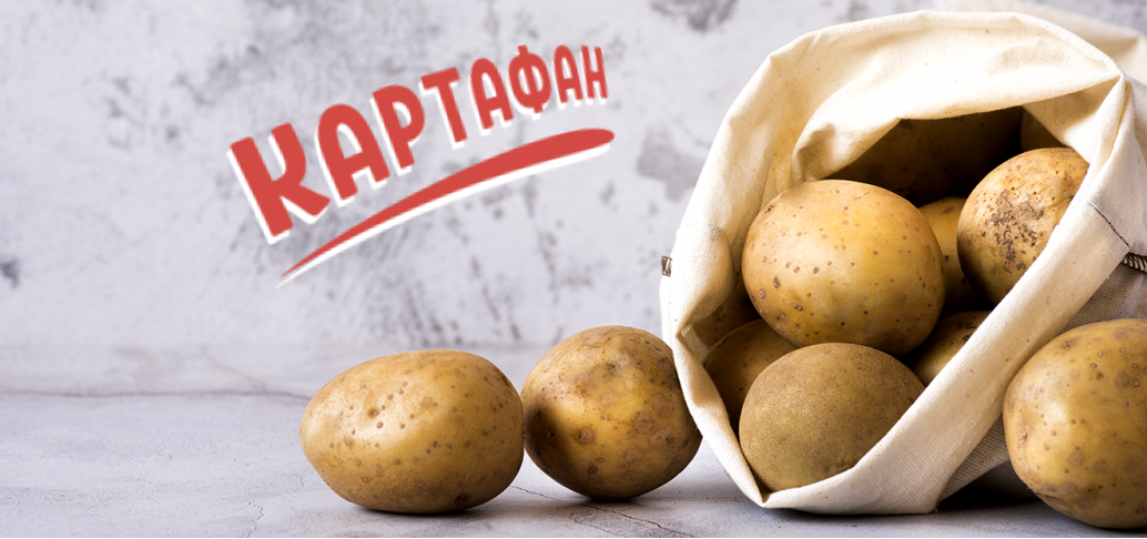 О ПРОЕКТЕ КАРТАФАН