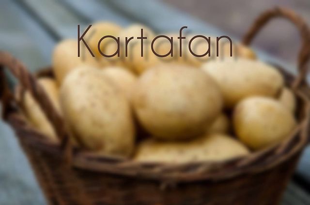 КАК РАБОТАЕТ ПРОЕКТ КАРТАФАН?